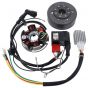 Ontsteking Kokusan EVO 2 Plus 12V Puch